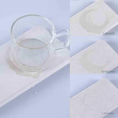 2Pcs Stone Soap Trays Water Absorbing Diatomite Coaster (2 Count)