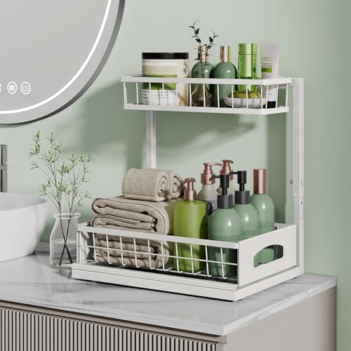 Under Sink Organizer