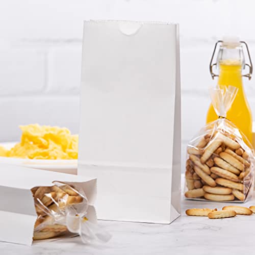 Bag Tek 2lb Paper Bags 100 Disposable Lunch Bags (100 Count)