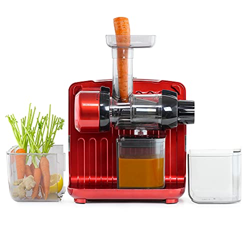 Juicer Cold Press 365 Slow Masticating Vegetable and Fruit Juice Extractor and Nutrition System Makes Nut Milks Baby Food and Sorbets
