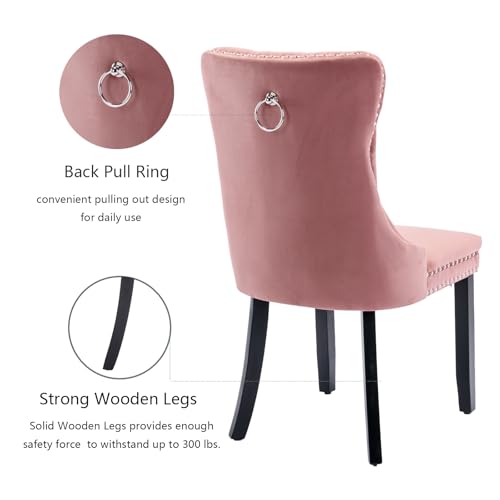 Pink Velvet Dining Chairs Set of 2 (2 Count)