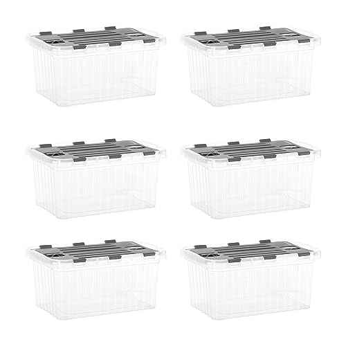 Clear Storage Boxes with Attached Lids (6 Count)