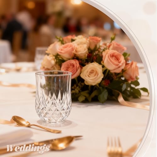 100 Pack Plastic Stemless Wine Glasses (100 Count)