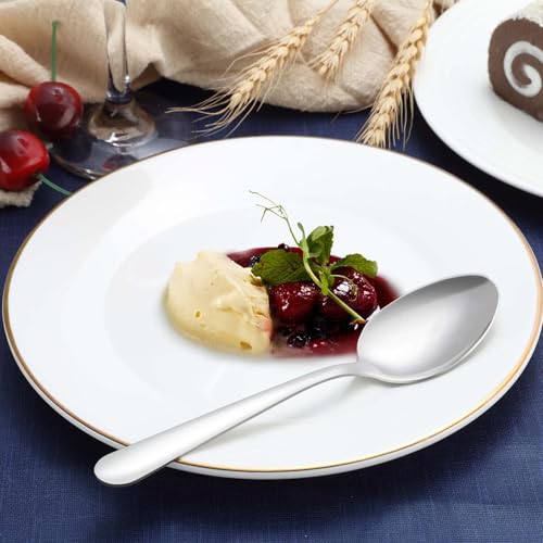 24 Piece Dinner Spoons Set (24 Count)