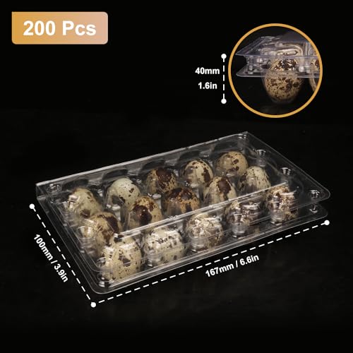 200 Pack Quail Egg Cartons (200 Count)