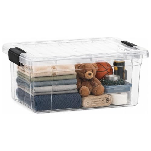 Clear Storage Box with Lid
