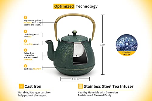 Japanese Cast Iron Tea Kettle with Infuser