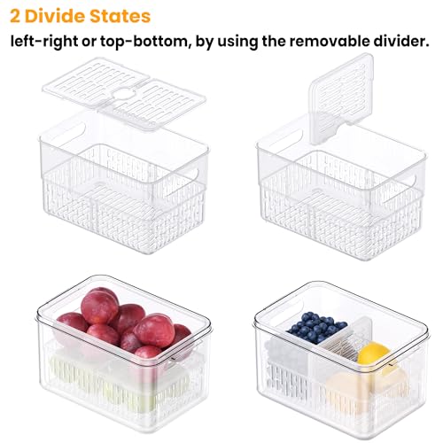6 Pack Large Fruit Storage Containers for Fridge with Timing Knob (3 Count)