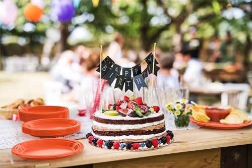 Sturdy Orange Plastic Plates 9" Party Plates 100 Pcs (100 Count)
