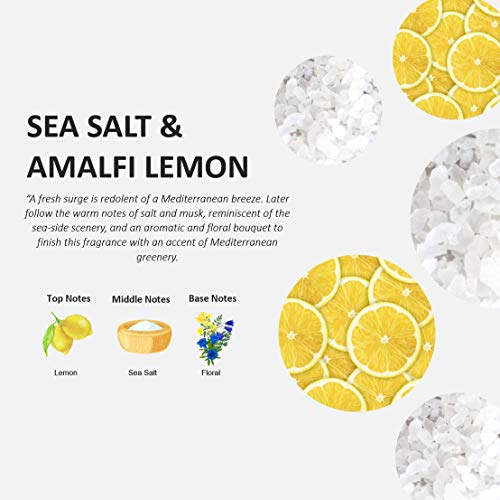 Fruits & Passion Cucina Dish Soap Detergent Refill Sea Salt and Amalfi Lemon (16.9 Fl Oz)