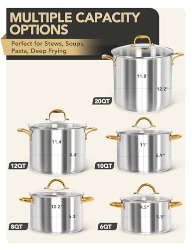 Stainless Steel Stock Pot with Lid