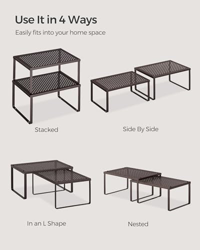 Set of 2 Metal Spice Racks (2 Count)