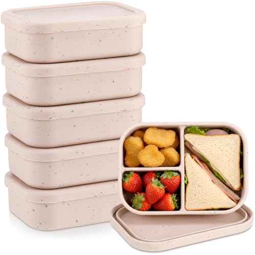 6 Pcs Silicone Bento Box (6 Count)