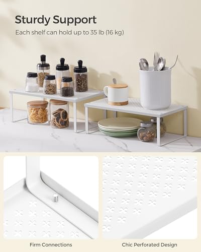Set of 2 Metal Spice Racks (2 Count)