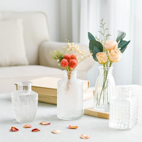 Glass Bud Vase Set of 12 Pcs (12 Count)