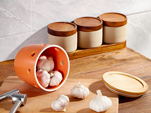 Large Garlic Keeper with Lid