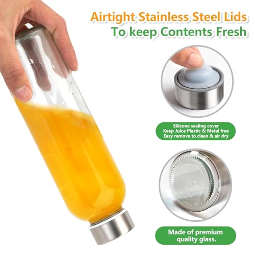 18 oz Glass Water Bottles with Stainless Steel Lids (3 Count)