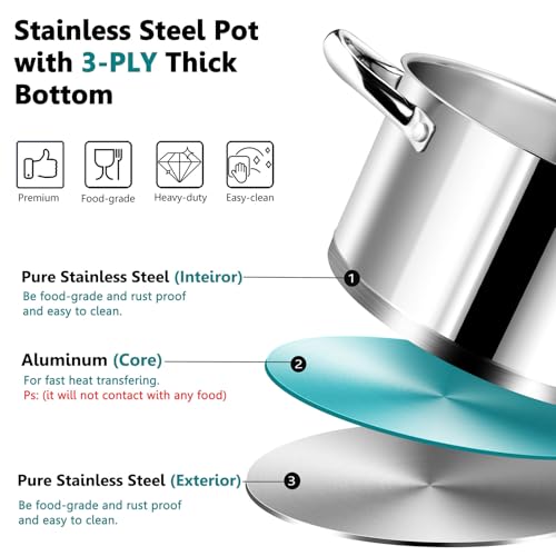 6 Quarts Stock Pot with Lid
