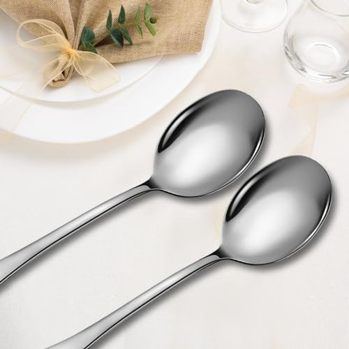 Stainless Steel Serving Spoons Set (8 Count)
