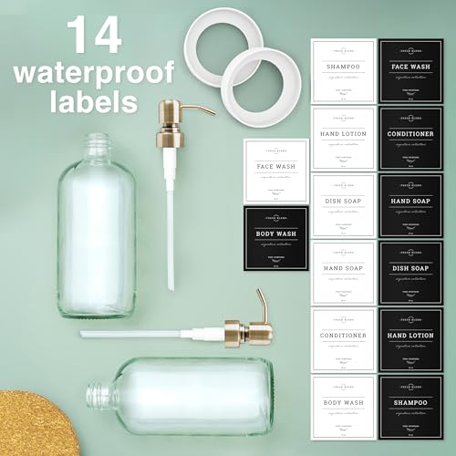 Clear Glass Soap Dispenser (2 Count)