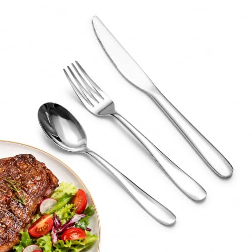 Stainless Steel 12PCS Dinner Set combo with 4 Dinner Knives (12 Count)