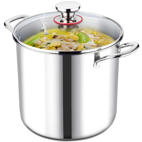 12 QT Stock Pot with Lid