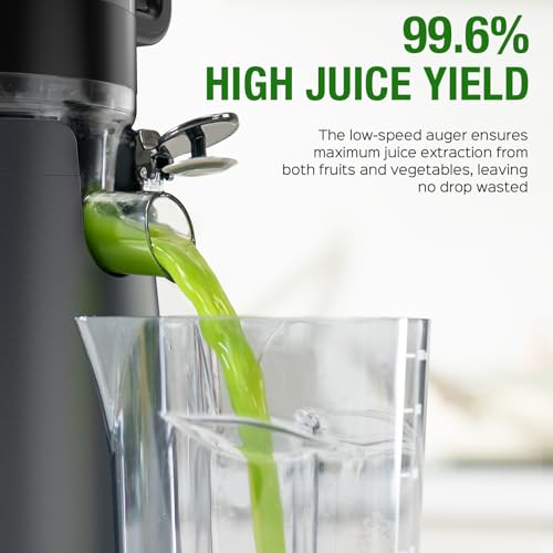 Cold Press Juicer Machine