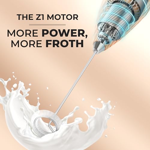 Milk Frother Handheld