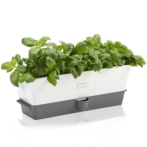 Burwell Self Watering Potted Herb Keeper