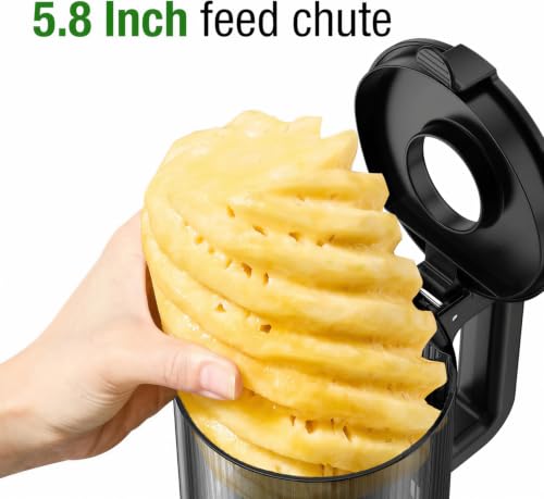 Cold Press Juicer Machine