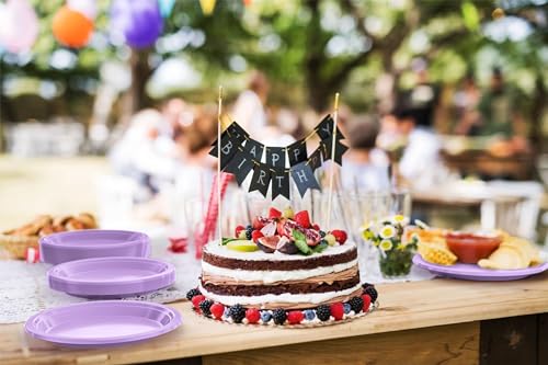 Sturdy Lavender Plastic Plates 9" Party Plates 100 Pcs (100 Count)