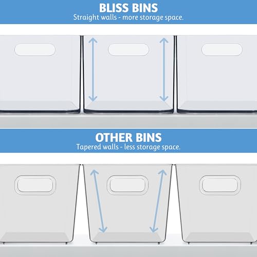 Bliss 10" x 6" Open Clear Pantry Organizer Bin