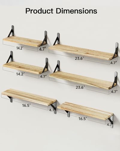 Amada Solid Paulownia Wood Wall Shelves (6 Count)