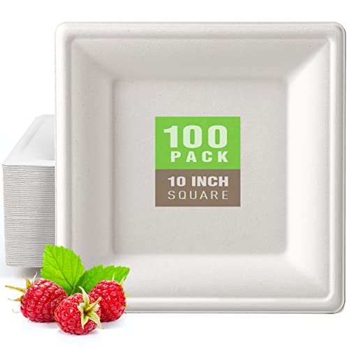 Compostable Square Paper Plates 10 Inch 100 Pack Disposable Plates (100 Count)