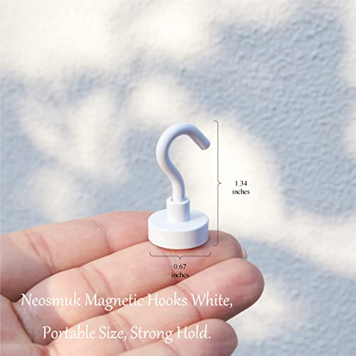 Magnetic Hooks (10 Count)