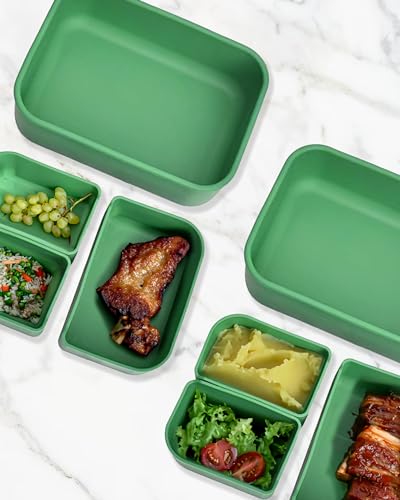 Platinum Silicone Bento Lunch Box Set of 2 (2 Count)