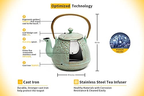 Tea Kettle for Stove Top