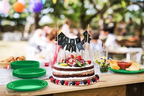 Sturdy Emerald Green Plastic Plates 10" Party Plates 100 Pcs (100 Count)