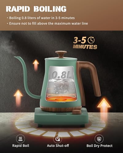 Gooseneck Electric Kettle