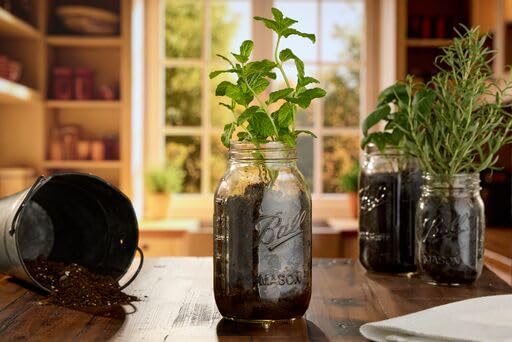 Wide Mouth Glass Mason Jars with Lids and Bands
