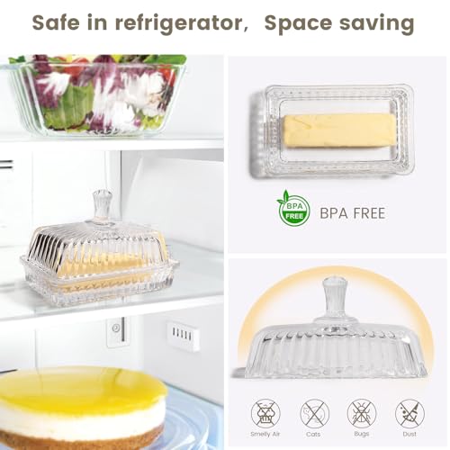 Modern Fancy Clear Glass Vintage Butter Dish with Lid for Countertop