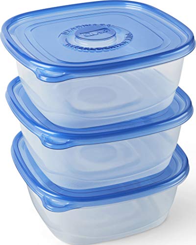 Ware Family Size Food Storage Containers