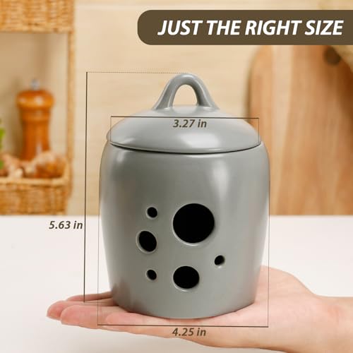 Garlic Keeper for Counter