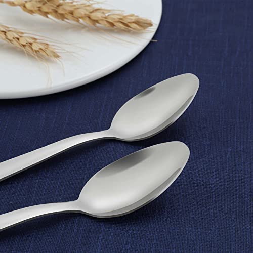 36 Piece Tea Spoons Set (36 Count)