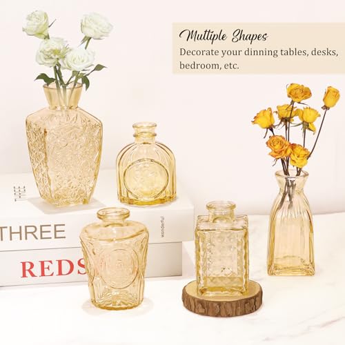 Set of 36 Glass Bud Vases Small Flower Vases for Centerpieces (36 Count)