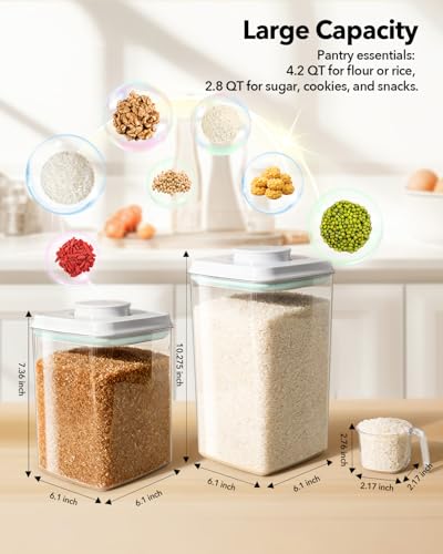 Food Storage Container Sets (6 Count)