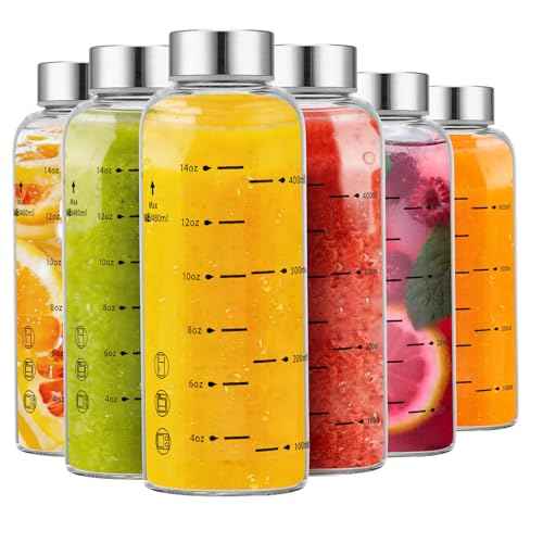 Glass Juice Bottles 6 Pack 16 oz (6 Count)