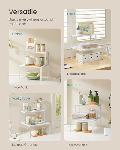 Set of 2 Metal Spice Racks (2 Count)