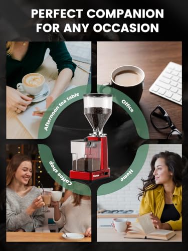 Flat Burr Coffee Grinder