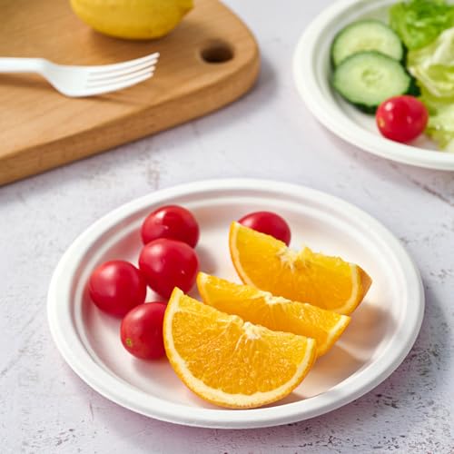 350 Pack Compostable Bagasse Paper Plates 6.9 inch (350 Count)